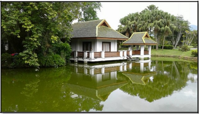 ขายที่ดิน115ไร่ ลดพิเศษ 39ล. ผ่อนได้ ฟรีโอน บ้านยุโรป3หลัง สาธารณูปโภค เหมาะทำรีสอร์ท คาเฟ่ ที่เที่ยว เกษตร ใกล้เทศบาล ต.ทากาศ อ.แม่ทา ลำพูน