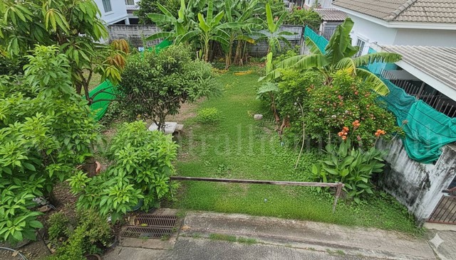 ที่ดินเปล่า ราคาพิเศษ 59.5 ตร.วา ถมแล้ว สุขุมวิท 97/1 ใกล้ BTS บางจาก