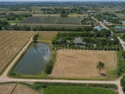 ลดราคาด่วน ที่ดิน 9-3-99.5 ไร่ ดอนโพธิ์ - สุพรรณบุรี มีผู้เช่า ทำเลดี