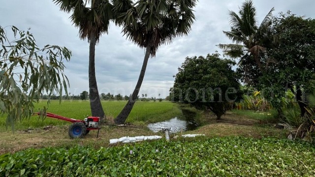 ลดราคาพิเศษ ด่วน ที่ดิน 9-3-99.5 ไร่ ดอนโพธิ์ - สุพรรณบุรี ทำเลดี