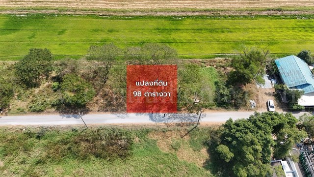 ลดด่วน ที่ดินเปล่า 98 ตารางวา ซอยสังฆสันติสุข 38 หนองจอก กรุงเทพฯ ราคาถูก