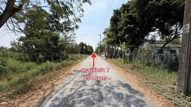 ลดด่วน ที่ดินเปล่า 98 ตารางวา ซอยสังฆสันติสุข 38 หนองจอก กรุงเทพฯ ราคาถูก