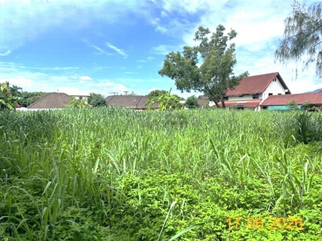 ขายที่ดินเชียงใหม่ เนื้อที่ 1-1-49.00 ไร่ อำเภอสันทราย ถนนเชียงใหม่-พร้าว