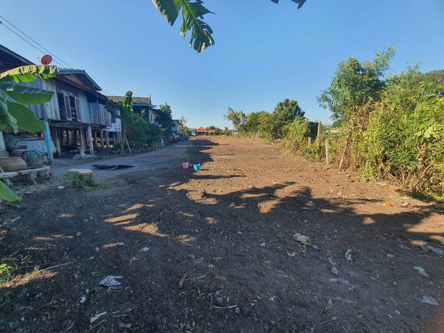 ขายที่ดินติดแม่น้ำป่าสัก อำเภอนครหลวง จังหวัดพระนครศรีอยุธยา เนื้อที่ 1 ไร่ 2 งาน