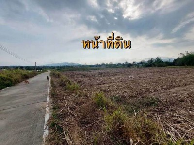ขายที่ดินแปลงสวย 6 ไร่ ทำเลทอง เขตพัฒนาเมือง ผังสีส้ม หนองชาก-บ้านบึง