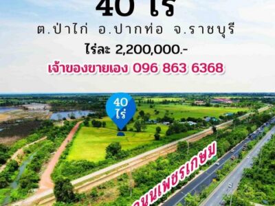 ขายที่ดินติดถนนเพชรเกษม อำเภอปากท่อ จังหวัดราชบุรี ขนาด 42 ไร่ 23 ตรว.