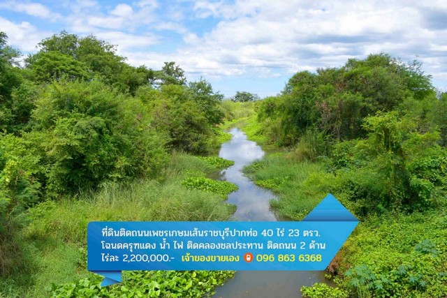 ขายที่ดินติดถนนเพชรเกษม อำเภอปากท่อ จังหวัดราชบุรี ขนาด 42 ไร่ 23 ตรว.