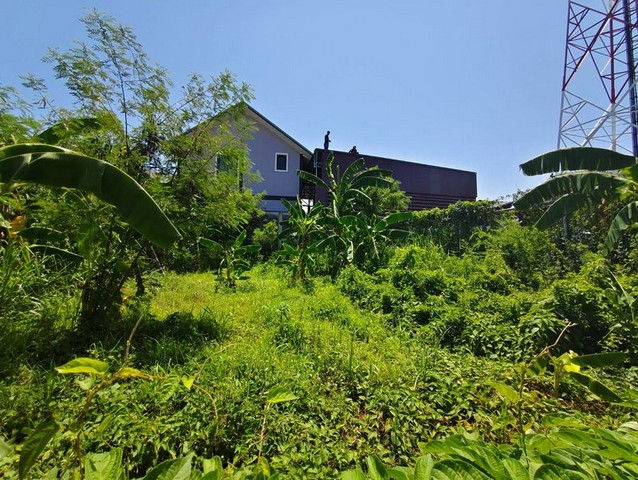 ขายที่ดินสวย 46 ตร.ว. ทำเลทอง ต.เสม็ด เมืองชลบุรี ใกล้วัดเตาปูน