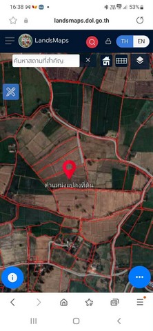 ขายที่ดินแปลงใหญ่อ.ลาดยาว จ.นครสวรรค์14 ไร่ 2 งาน 86 ตารางวา