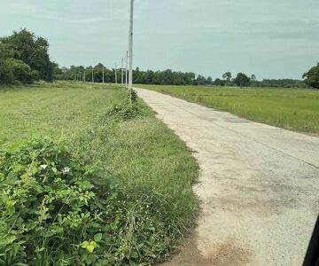 ขายที่ดินเปล่า เนื้อที่ 2 ไร่ เหมาะทำบ้านสวน บรรยากาศดีมาก บ้านนา นครนายก