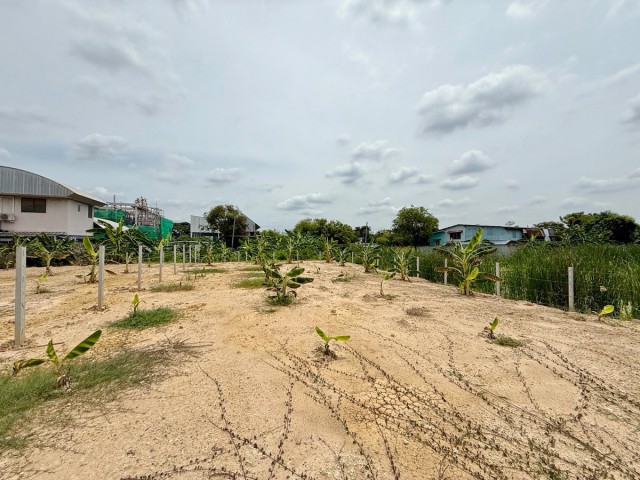 ถ.ทุ่งมังกร-สวนผัก ที่ดินสวยใหญ่203 ตร.ว. 812 ตร.ม.ใกล้BRT ตลิ่งชัน 1.3 กม.ถมดินแล้วสูงกว่าถนน ต่อราชพฤกษ์ พุทธมณฑล สาย1สายใต้ใหม่ 1.6 กม.