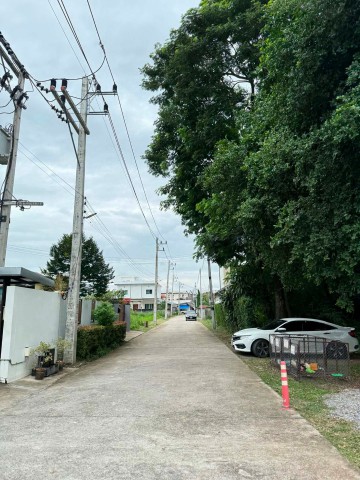 โซนฟ้าฮ่าม ขาย 15 ล้าน 277 ตรว. ที่ดินแปลงสวย #น้ำไม่ท่วม #ใกล้รวมโชค #เซ็นทรัลเฟสติวัล บรรยากาศภายในซอยเงียบสงบ
