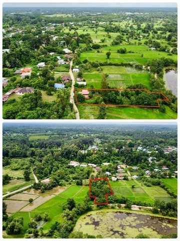 ขายบ้านสวน ในเมือง อุบลราชธานี 1 ไร่ 81.1 ตร.ว. เป็นที่ดินพร้อมสิ่งปลูกสร้าง มีบ้าน 1 หลัง และสถานที่พักผ่อน