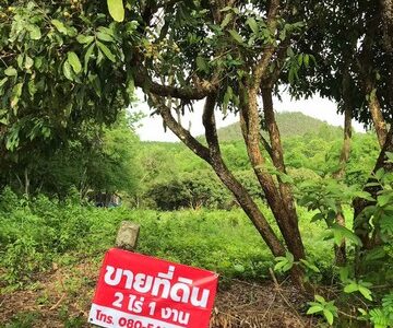 ขายที่ดิน 2 ไร่ 3 งาน ตารางวาละ 1500 บ้าน ดอนเจริญ ตำบลดอยลาน เมืองเชียงราย