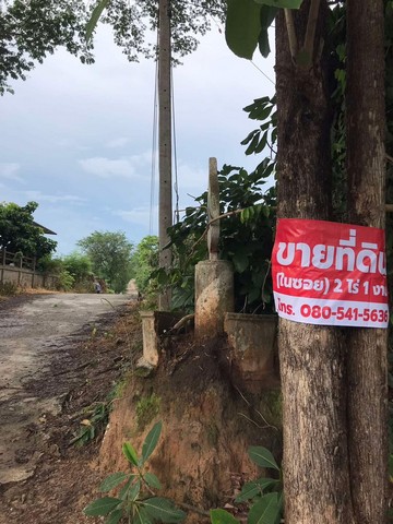 ขายที่ดิน 2 ไร่ 3 งาน ตารางวาละ 1500 บ้าน ดอนเจริญ ตำบลดอยลาน เมืองเชียงราย