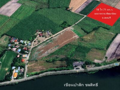ขาย ที่ดิน บ้าน มะนาว หวาน เขื่อน ป่า สัก ลพบุรี ใกล้จุดท่องเที่ยวนิวซีแลนด์ลพบุรี
