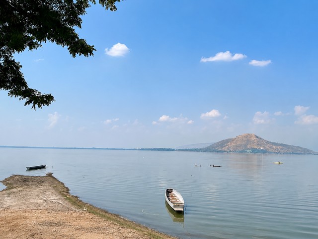 ขาย ที่ดิน บ้าน มะนาว หวาน เขื่อน ป่า สัก ลพบุรี ใกล้จุดท่องเที่ยวนิวซีแลนด์ลพบุรี