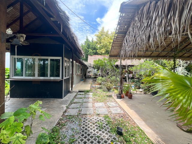 ขาย ที่ดินจัดสรร ลำลูกกา คลอง16 องครักษ์ เริ่ม 100 ตร.ว. - 1 ไร่ อ่านรายละเอียดด้านล่าง