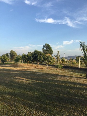 ขายที่ดินบ้านสวน ตำบลพุแค อำเภอเฉลิมพระเกียรติ จังหวัด สระบุรี