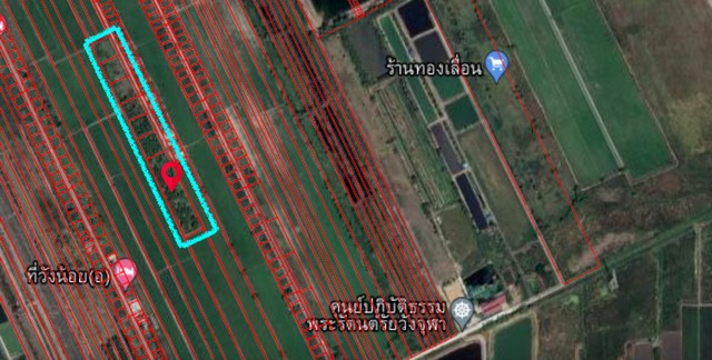 ขายที่ดินวังน้อย อยุธยา (1 ไร่ และ 4 ไร่) ผังเมืองสีเขียว ติดถนนคอนกรีต ซ.วังจุฬา 8 ใกล้พหลโยธิน