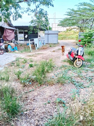 บายพาสเลี่ยงเมืองโคราช-ขอนแก่น หนองกระทุ่ม ที่ดินโกดังโรงงานให้เช่า ใกล้ศาลปกครองนครราชสีมา 1 กม.ที่ดิน 2 ไร่ โกดัง 3,200 ตร.ม.