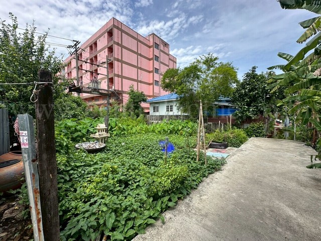 ลดราคาด่วน ที่ดินเปล่า 59 ตร.วา ซอยพิบูลสงคราม 22 - ซอยวัดกำแพง ราคาถูก