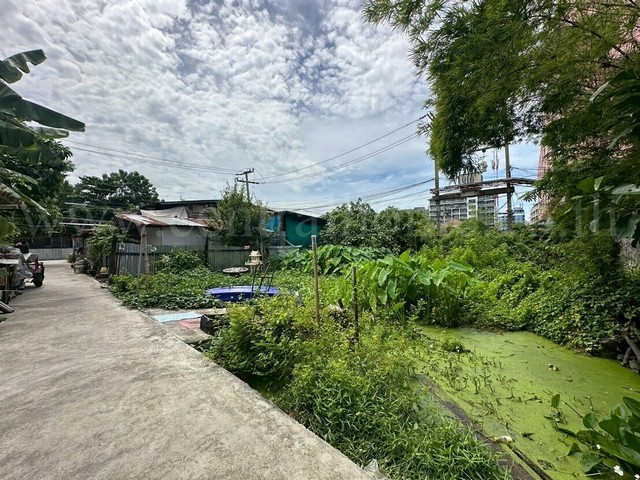 ลดราคาด่วน ที่ดินเปล่า 59 ตร.วา ซอยพิบูลสงคราม 22 - ซอยวัดกำแพง ราคาถูก
