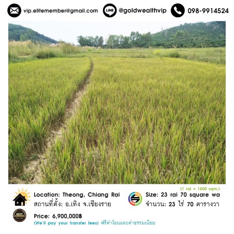 ขายที่ดิน 23 ไร่ อ.เทิง จ.เชียงราย ราคา 6.9 ล้านบาท เจ้าของขายเอง