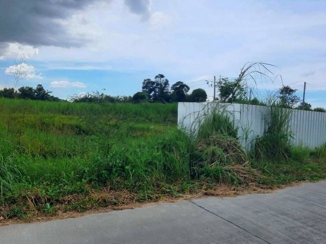 ขายที่ดิน 25-0-51 ไร่ ( รวม 3 โฉนด ) สวยราคาถูก บ้านบึง ชลบุรี