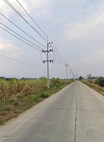 ขายที่ดิน หนองไผ่แก้ว 116 ไร่ (แบ่งขายได้) บ้านบึง ชลบุรี