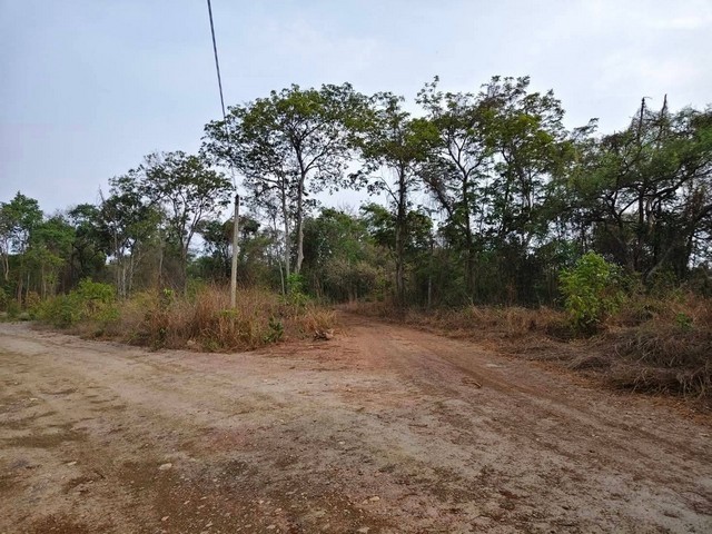 ขายที่ดิน พื้นที่ 579 ไร่ ผังม่วง แปลงยาว ฉะเชิงเทรา ใกล้นิคมเกตย์เวย์ซืตี้