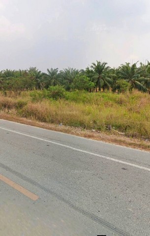 ขายที่ดิน เนื้อที่ 311-2-50 ไร่ ผังเมืองสีเหลือง คลองกิ่ว บ้านบึง ชลบุรี
