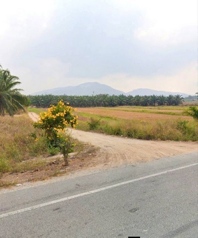 ขายที่ดิน เนื้อที่ 311-2-50 ไร่ ผังเมืองสีเหลือง คลองกิ่ว บ้านบึง ชลบุรี
