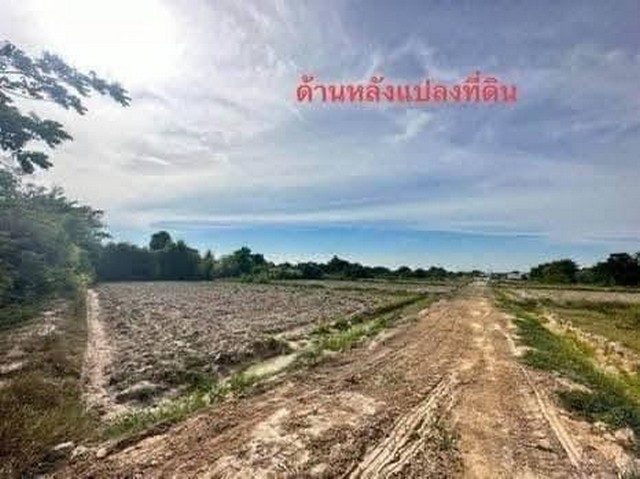 ขายที่ดิน แปลงสวย ถมแล้ว ขนาดเนื้อที่รวม 8-0-97 ไร่ สำนักบก เมืองชลบุรี
