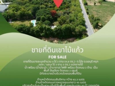 ขายที่ดิน ครุฑแดง(เขาไม้แก้ว) สามารถแบ่งขายได้ บางละมุง ชลบุรี
