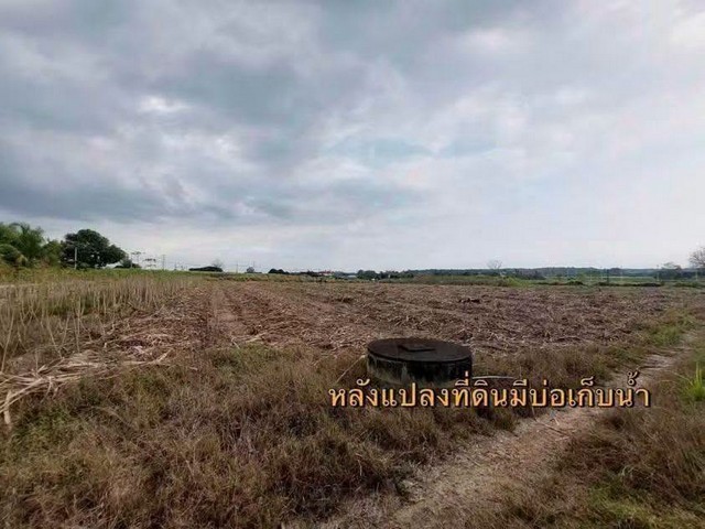 ขายที่ดิน แปลงสวย 6 ไร่ ทำเลทอง เขตพัฒนาเมือง บ้านบึง ชลบุรี