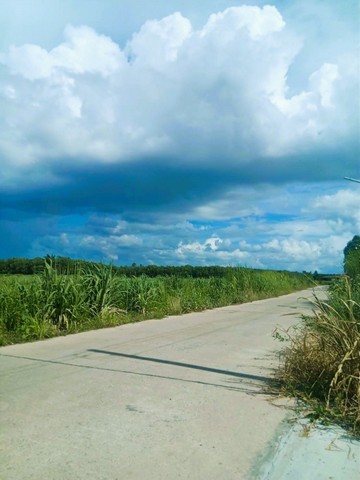 ขาย ที่ดิน หินเหล็กไฟ,หัวหิน 2 ไร่ จังหวัด ประจวบคีรีขันธ์