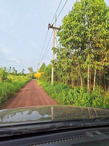 ทรัพย์ A+ ขายด่วน ที่ดิน 17 ไร่ ที่ตั้ง กบินทร์บุรี ปราจีนบุรี