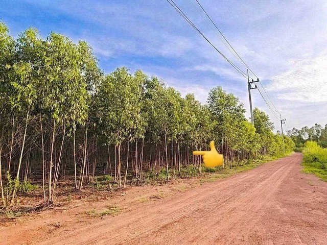 ทรัพย์ A+ ขายด่วน ที่ดิน 17 ไร่ ที่ตั้ง กบินทร์บุรี ปราจีนบุรี