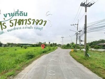 ขายที่ดิน 3 ไร่ 57 ตารางวา ต.หนองซ้ำซาก อ.บ้านบึง จ.ชลบุรี