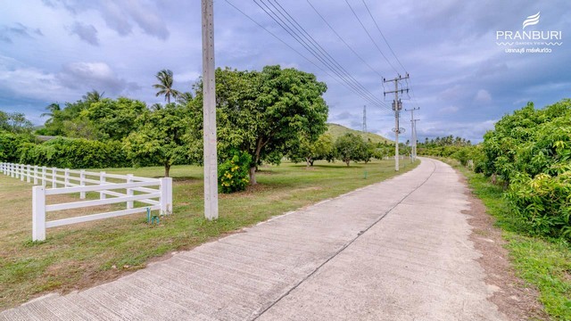 ขาย ที่ดิน ปราณบุรี 340 ตร.วา ปราณบุรี ประจวบคีรีขันธ์ ใกล้ วนอุทยานปราณบุรี