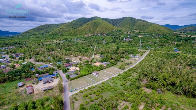 ขาย ที่ดิน ปราณบุรี 340 ตร.วา ปราณบุรี ประจวบคีรีขันธ์ ใกล้ วนอุทยานปราณบุรี