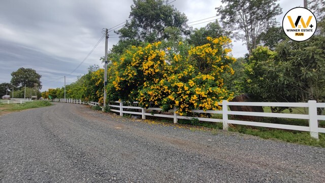 ขายที่ดินหนองสาหร่าย ที่ดินปากช่อง ที่ดินเขาใหญ่ สูงกว่าระดับน้ำทะเล 400 M ทำเลทองหล่อเขาใหญ่