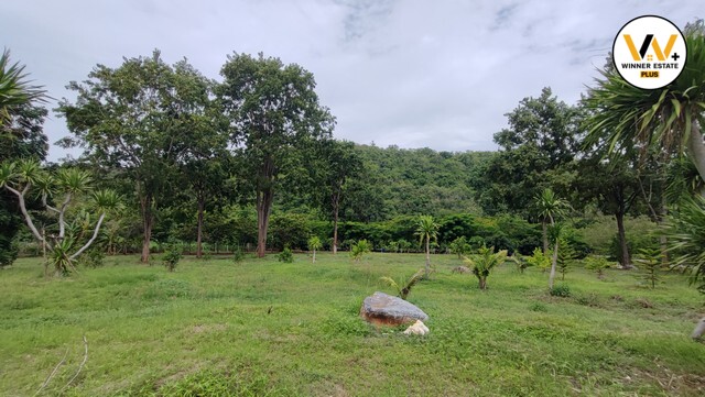 ขายที่ดินหนองสาหร่าย ที่ดินปากช่อง ที่ดินเขาใหญ่ สูงกว่าระดับน้ำทะเล 400 M ทำเลทองหล่อเขาใหญ่