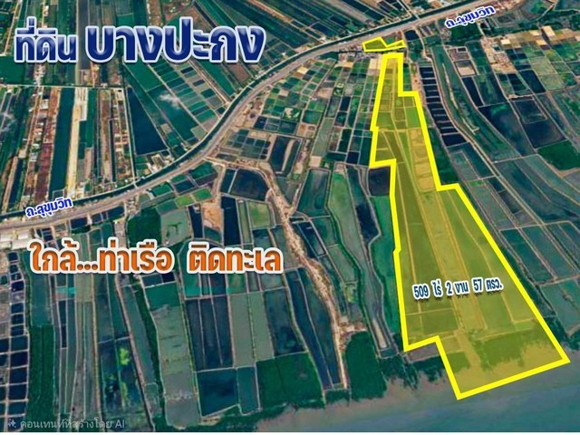 ขายด่วน ที่ดินบางปะกง แปลงใหญ่ 508 ไร่ ติดทะเล.ติด ถ.สุขุมวิท ต.บางปะกง อ.บางปะกง จ.ฉะเชิงเทรา