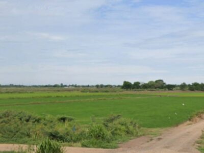 Vาย ที่ดิน 24 ไร่ จ. พระนครศรีอยุธยา ไร่ละ 300,000 บ. ต. บ้านขวาง ต. น้ำเต้า อ. มหาราช (ใกล้ แยกเจ้าปลุก ,ถ.ทางหลวง 3267 อ่างทอง - ท่าเรือ)