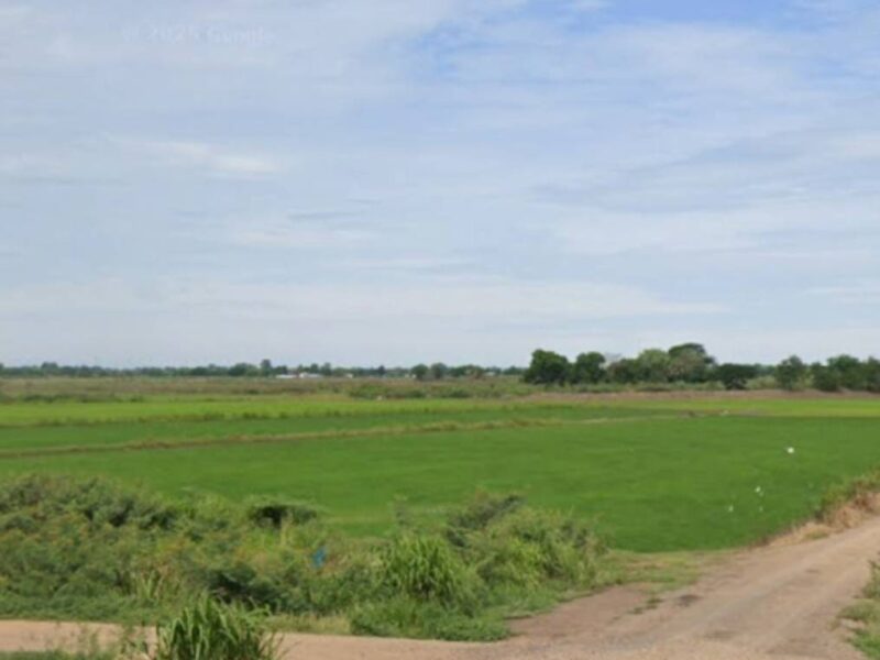 Vาย ที่ดิน 24 ไร่ จ. พระนครศรีอยุธยา ไร่ละ 300,000 บ. ต. บ้านขวาง ต. น้ำเต้า อ. มหาราช (ใกล้ แยกเจ้าปลุก ,ถ.ทางหลวง 3267 อ่างทอง - ท่าเรือ)
