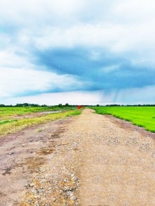 ขาย ที่ดิน ที่ทำเกษตร4.5แสนต่อไร่ บ้านนา นครนายก ใกล้กับ คลอง30 อำเภอบ้านนา 900000 บาท 2 ไร่ 800 ตารางวา นครนายก บ้านนา
