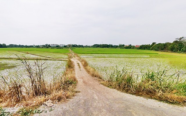 2 ขาย ที่ดิน ที่ดิน พิจิตร 3 ไร่ 1200 ตารางวา ใกล้กับ สถานีรถไฟพิจิตร