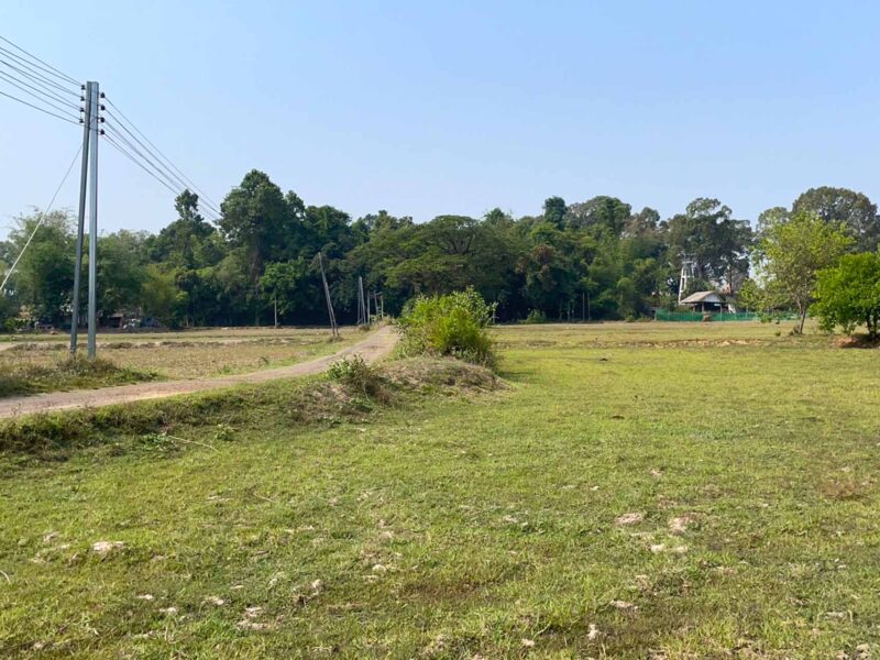 ขายที่ดิน เมืองศรีสะเกษ เนื้อที่ 5 ไร่กว่า เหมาะสร้างบ้านสวน และการเกษตร